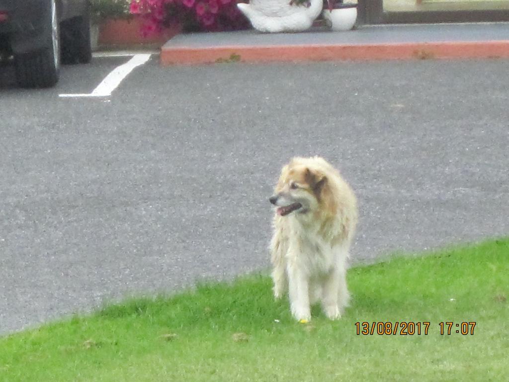 Cois Na Mara B&B Cleggan Exterior photo